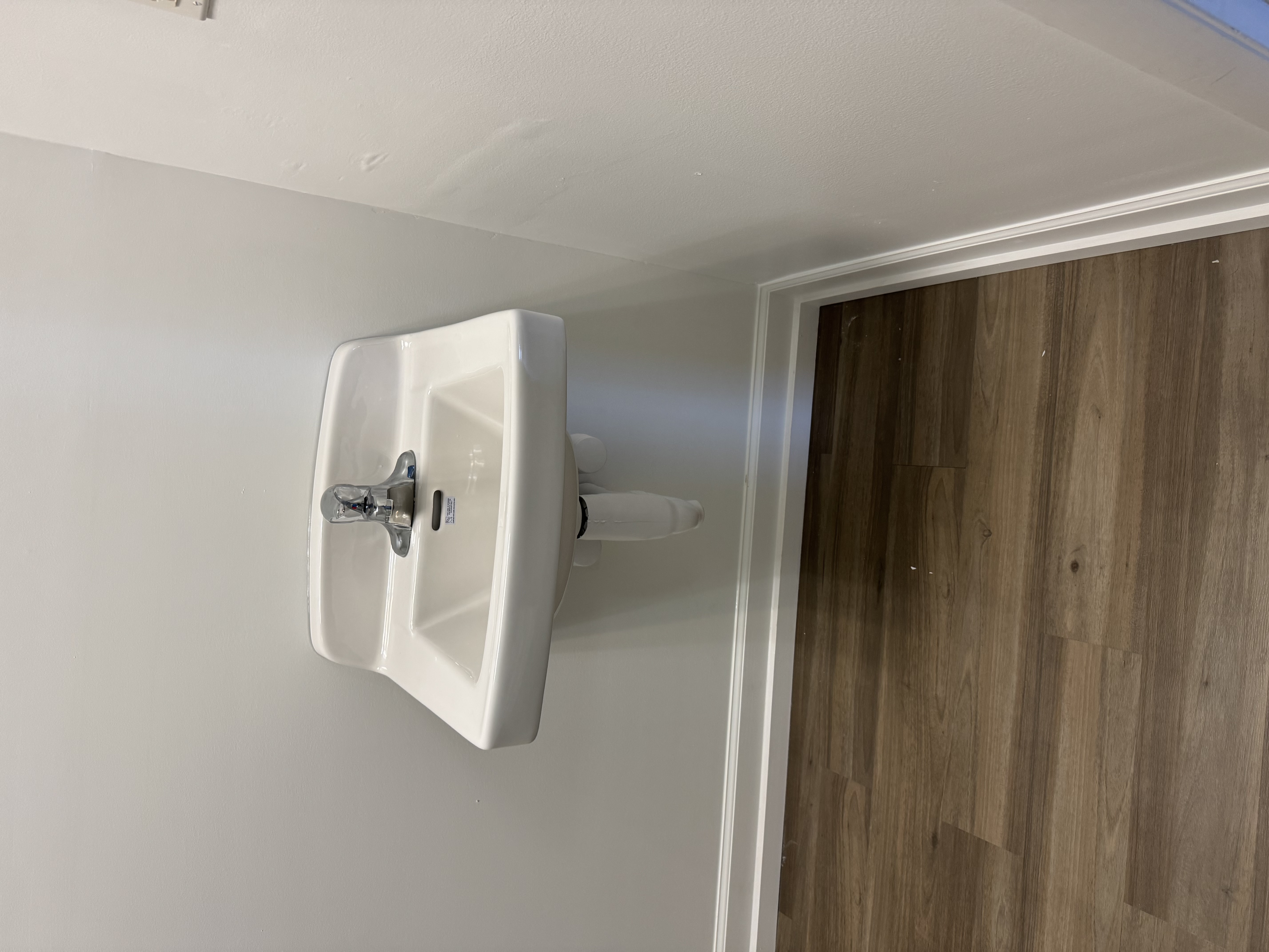 Sink and faucet
