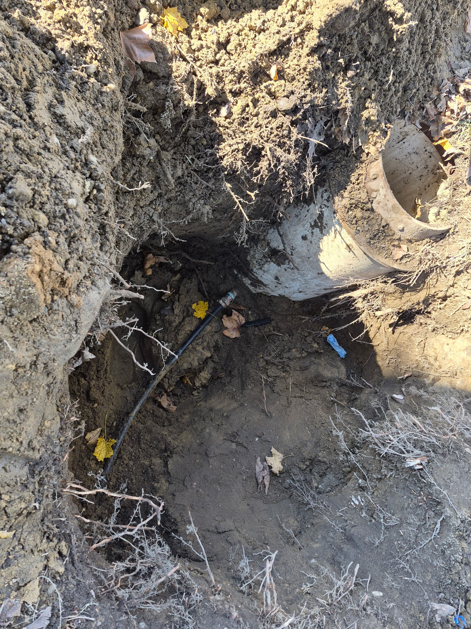 Old broken sewer pipe